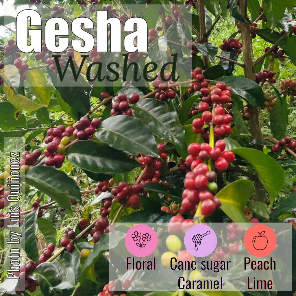 100% Colombian coffee | Gesha - washed process | Whole bean | 12oz