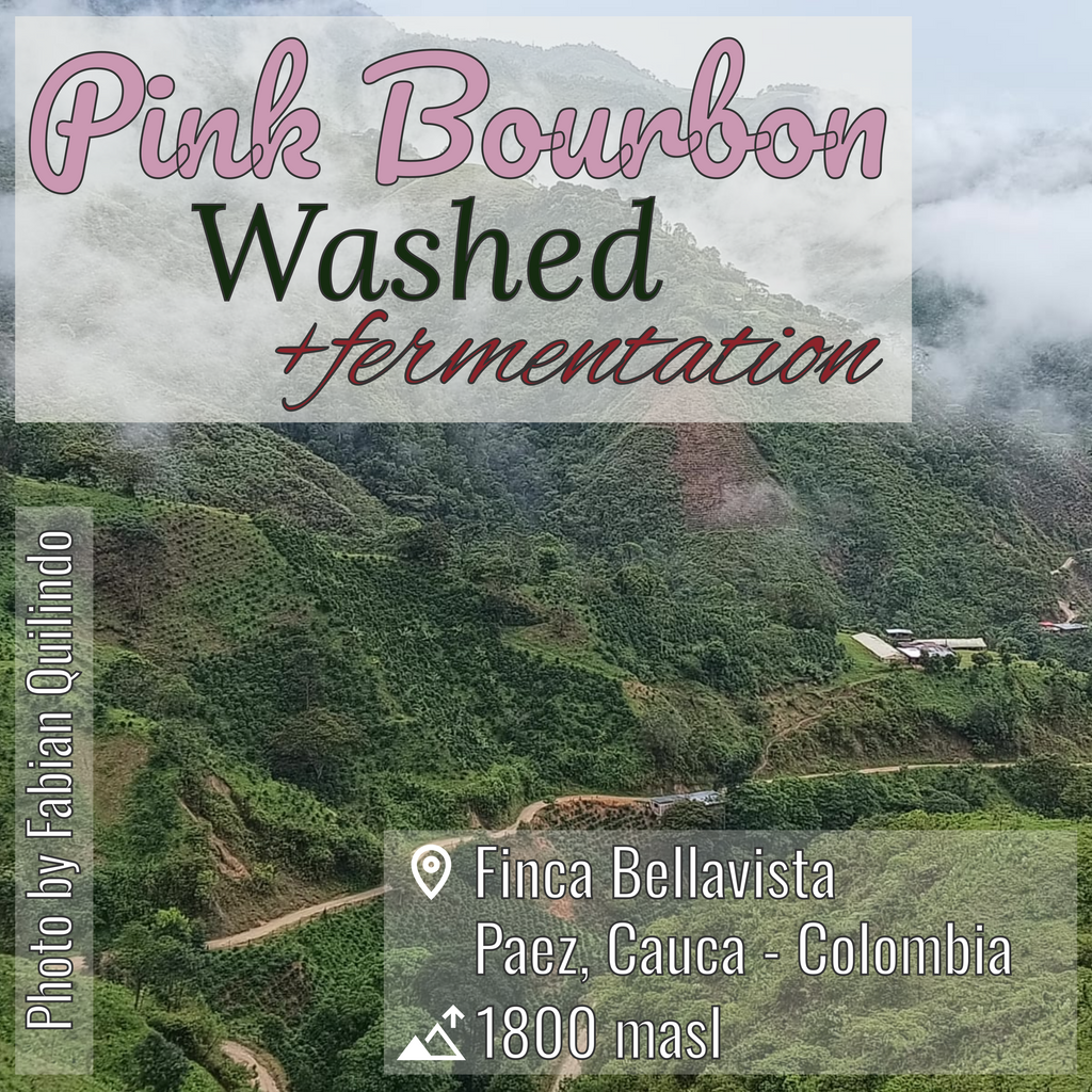 100% Colombian coffee | Pink Bourbon - washed + fermentation process | Whole bean | 12oz