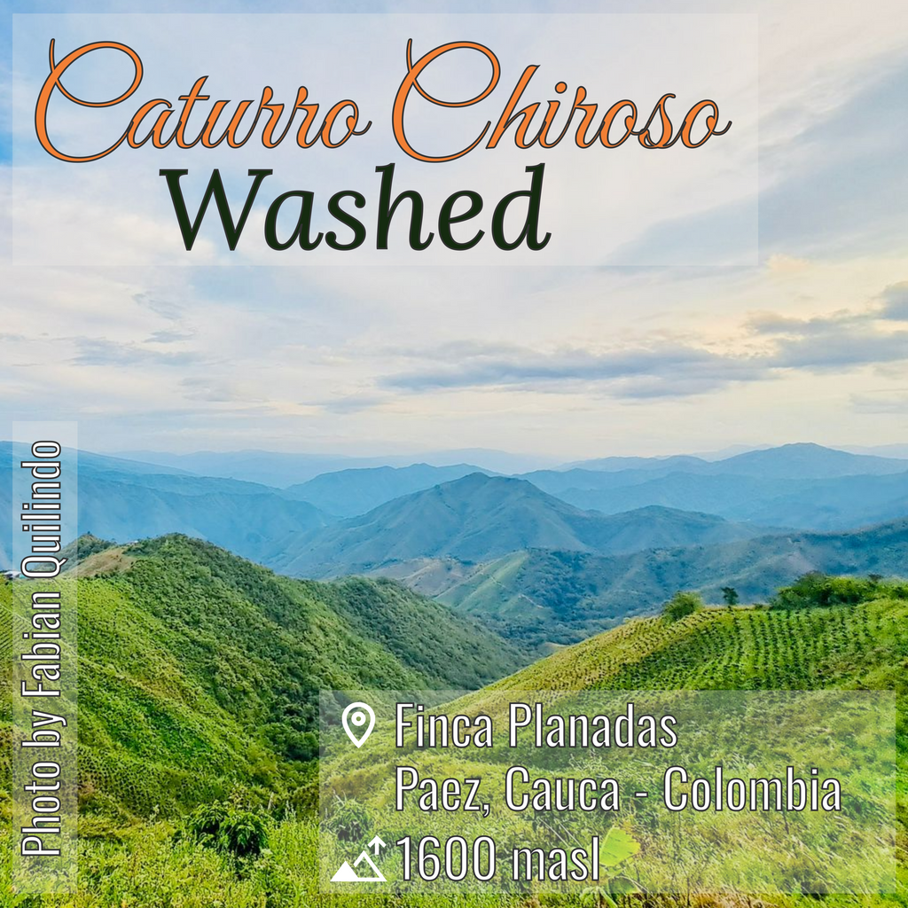 100% Colombian coffee | Caturro Chiroso - washed process | Whole bean | 12oz
