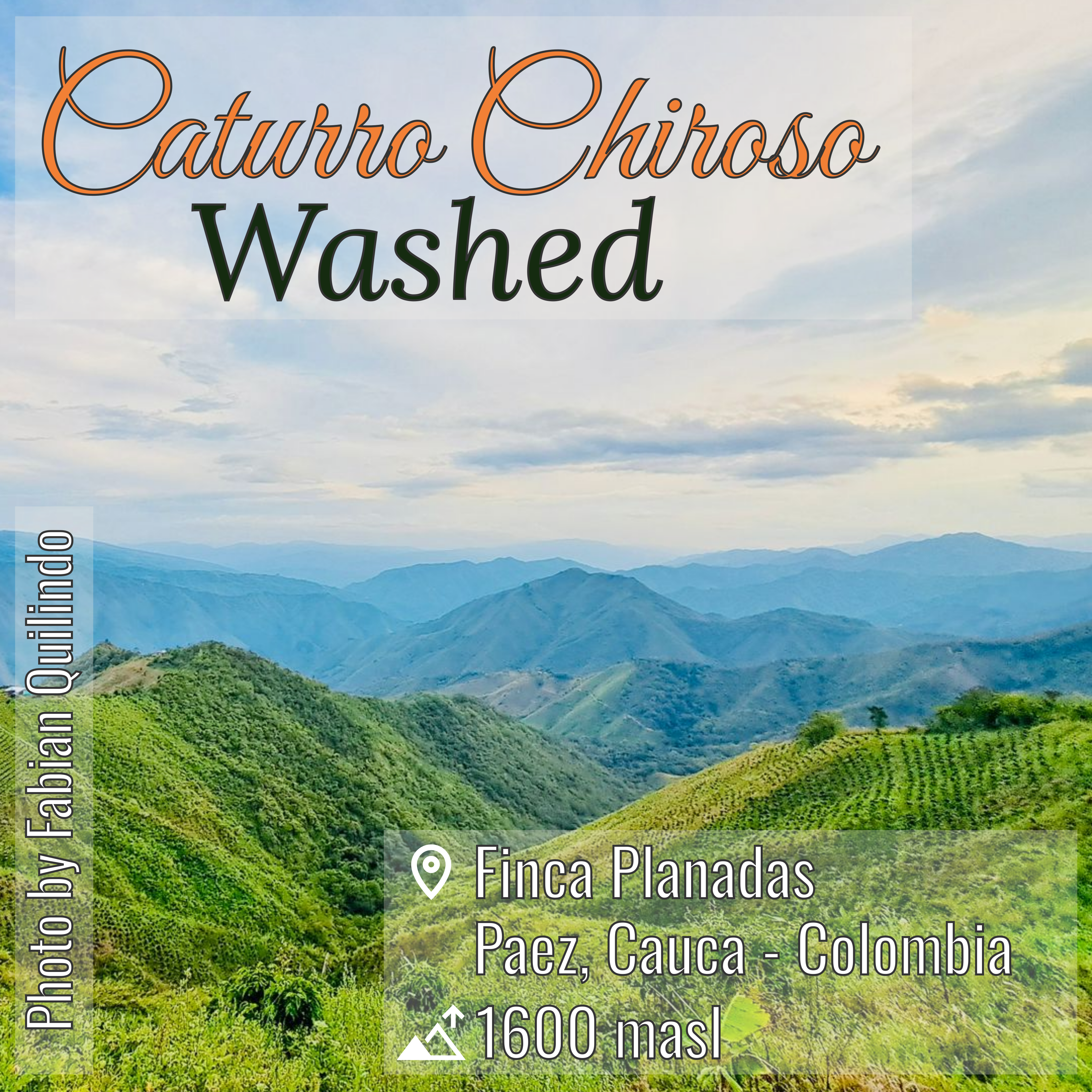 100% Colombian coffee | Caturro Chiroso - washed process | Whole bean | 12oz