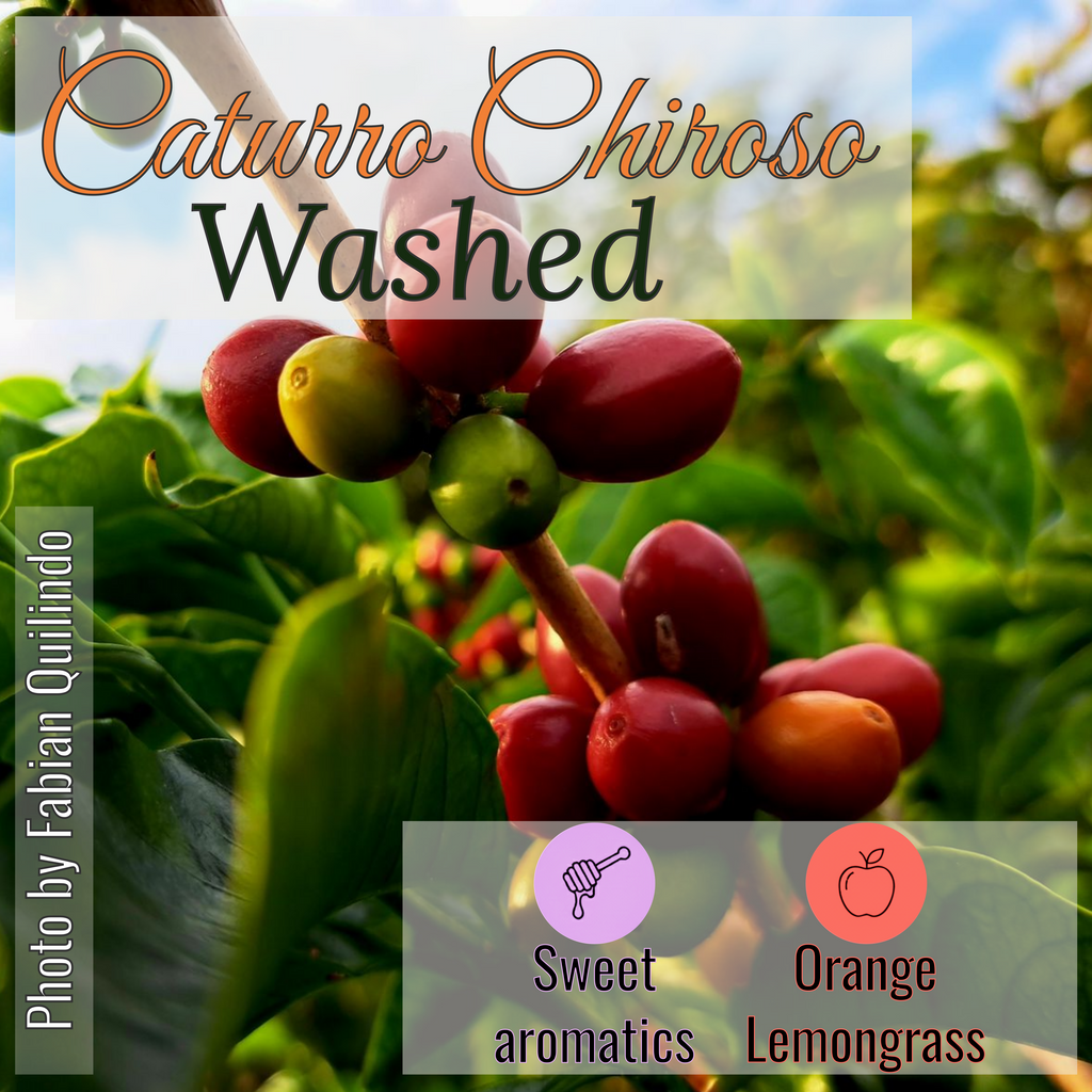 100% Colombian coffee | Caturro Chiroso - washed process | Whole bean | 12oz